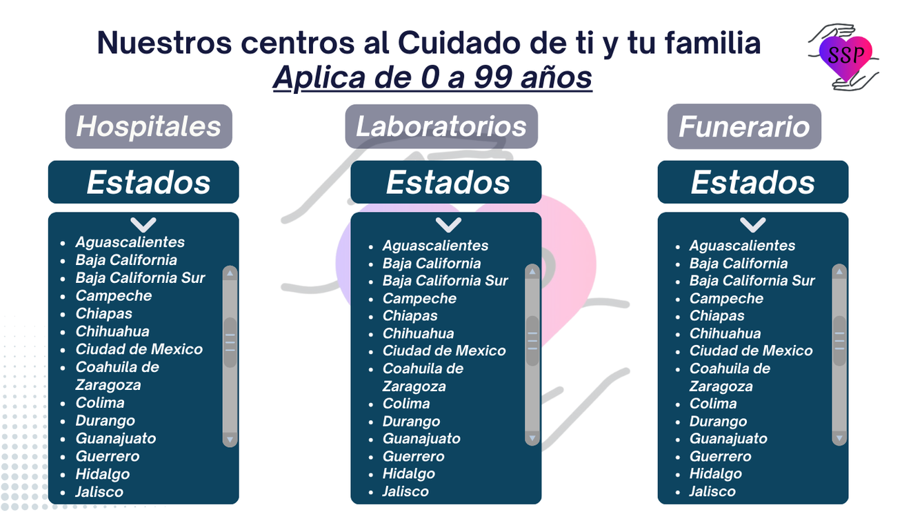 Imagen 11